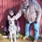 Pumpkin adopted