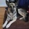Rosco