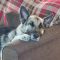 Rosco
