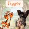 Tigger