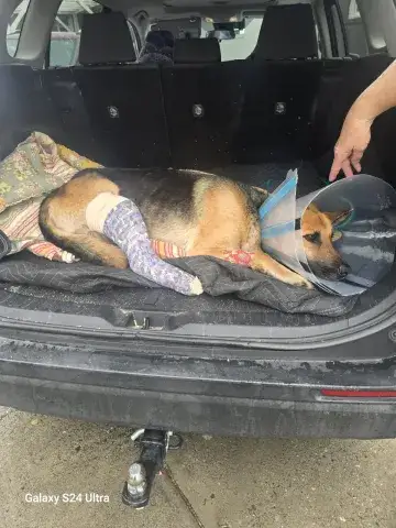 Hope recovering from surgery