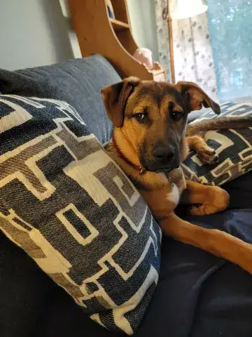 George