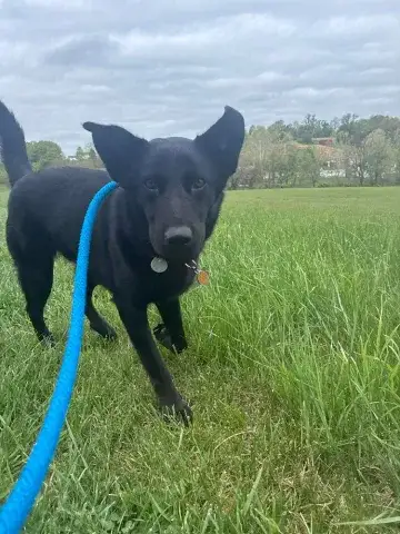 Jack