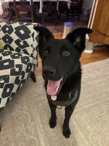 Jack