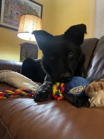 Jack