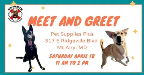 Join us for a Meet 'n Greet