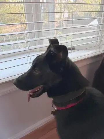 Jack