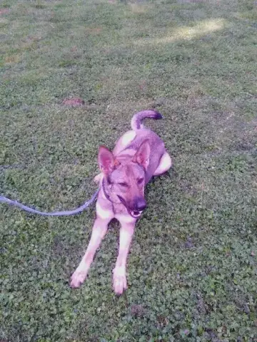 Kya