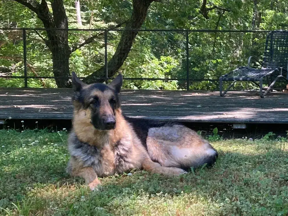 Ella