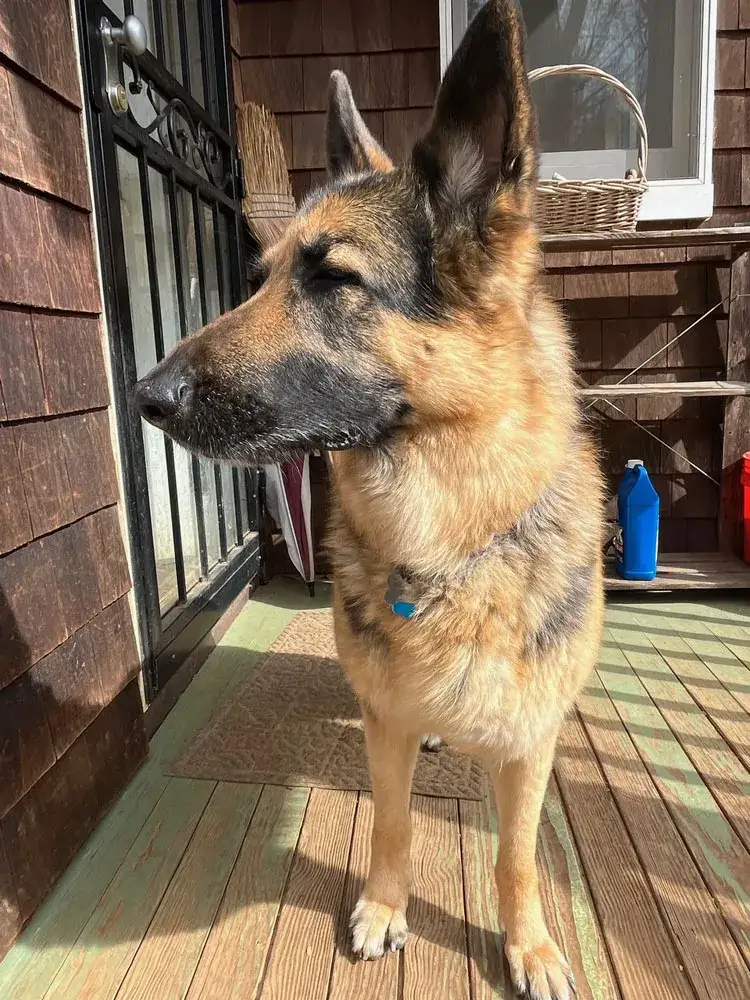 Ella
