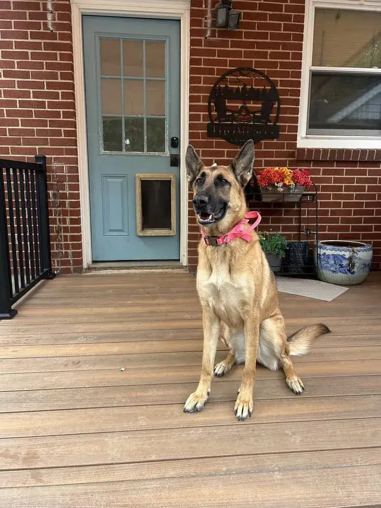 Lexi