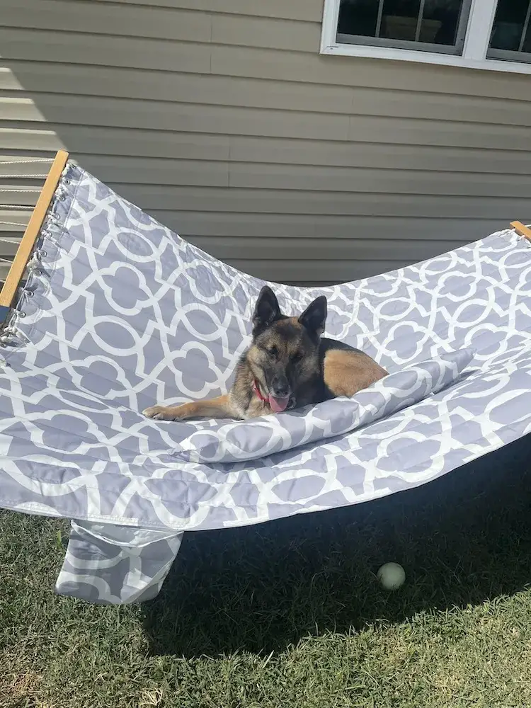 Shep