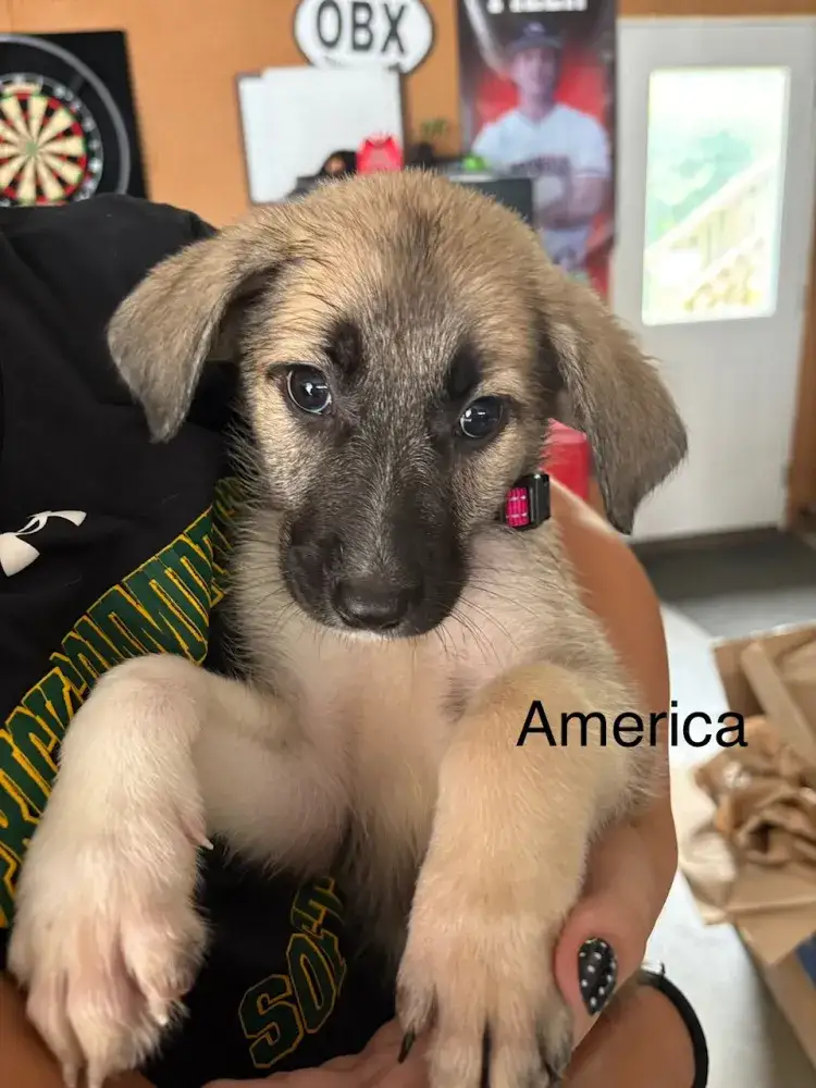 America the Beautiful!