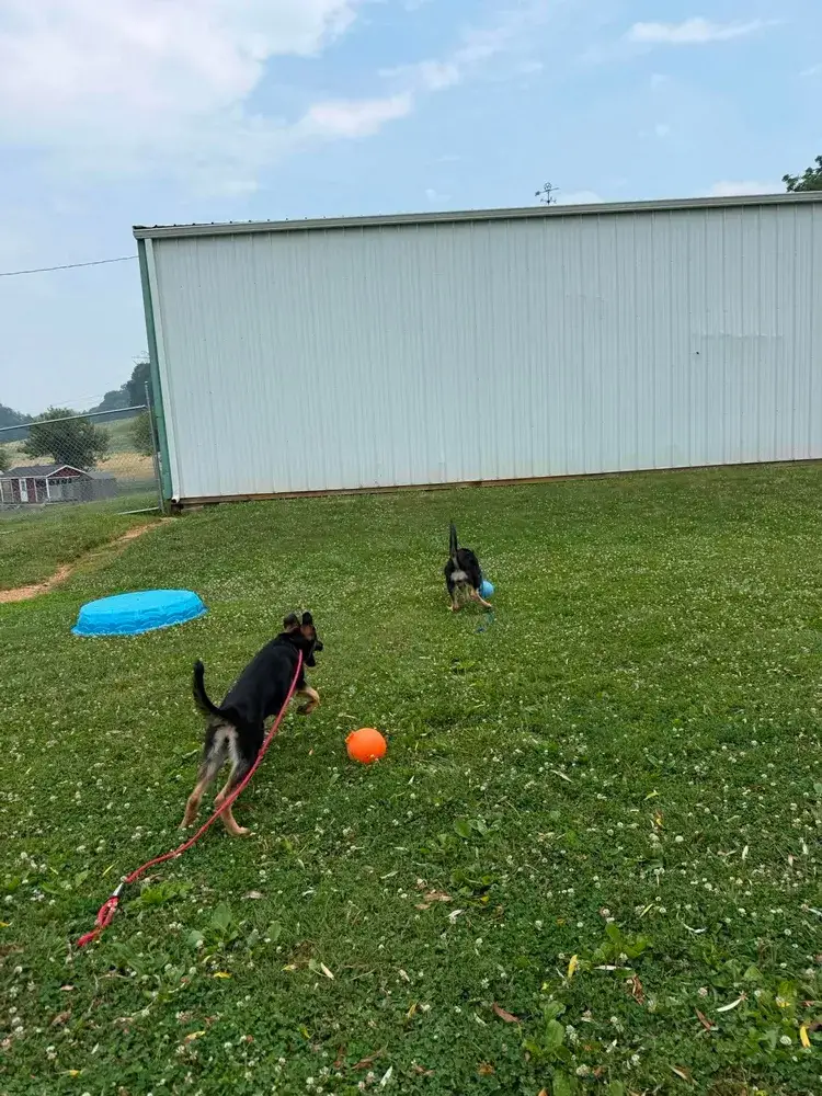 Kessa & Kaiser
