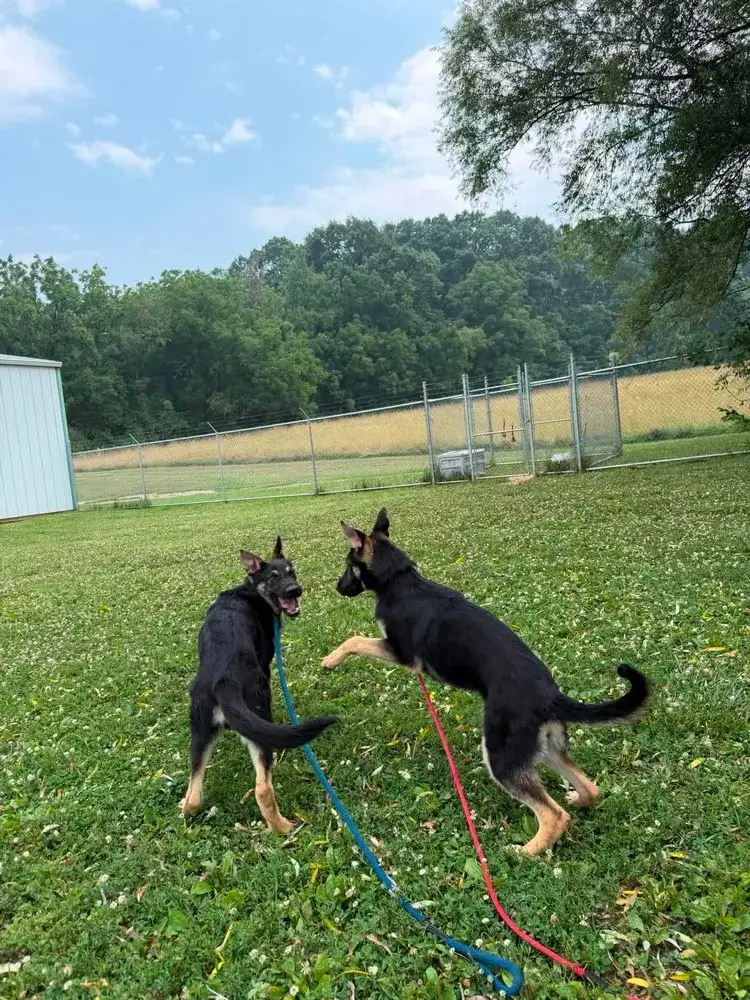 Kessa & Kaiser