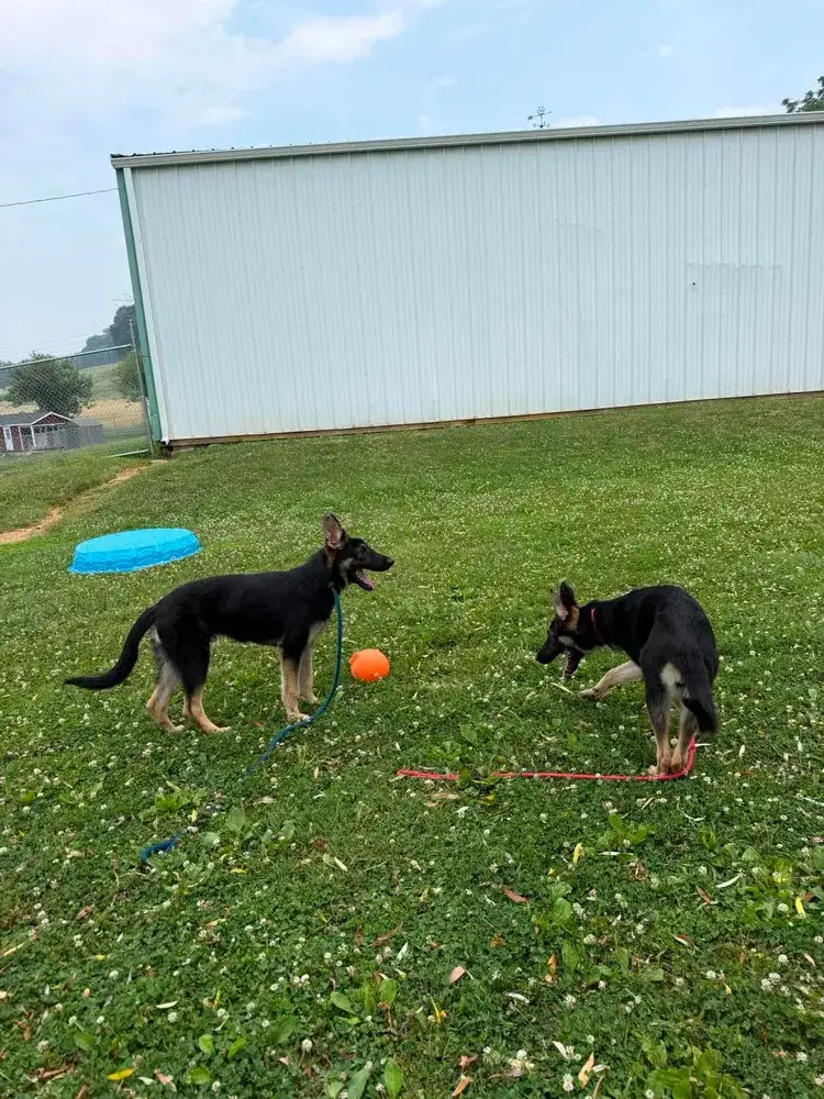 Kessa & Kaiser