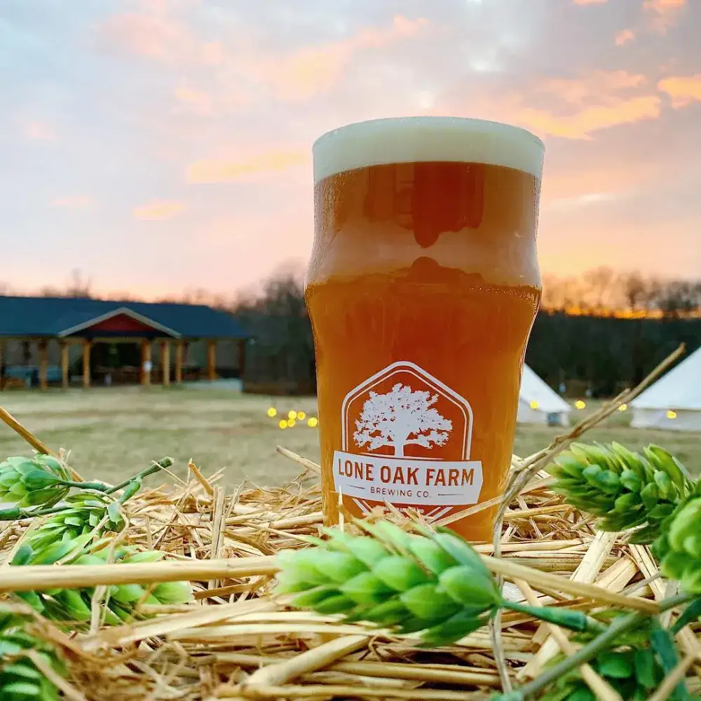 Join MAGSR at Lone Oak Brewing!