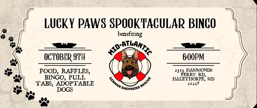 Join MAGSR for Lucky Paws Cash Bingo!