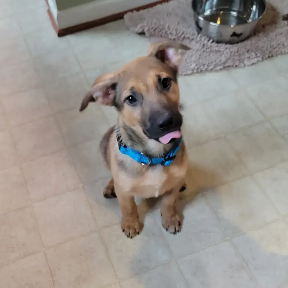 Martini the Marvelous