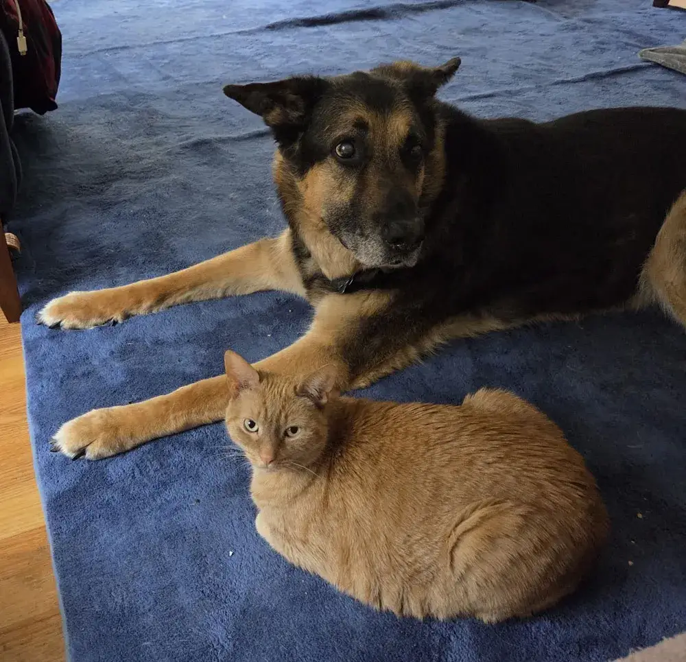 Sam and Sunny