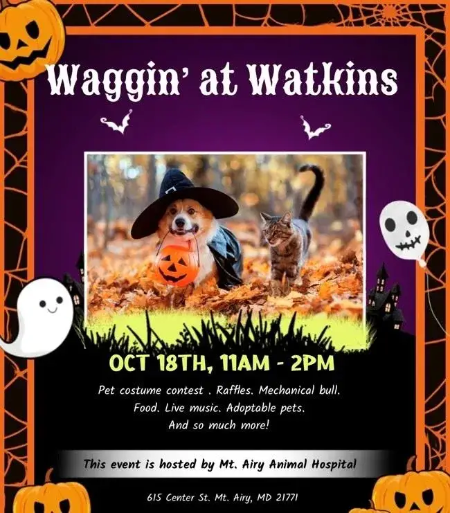 Join MAGSR for Waggin' at Watkins!