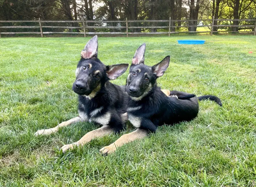 Kaiser & Kessa