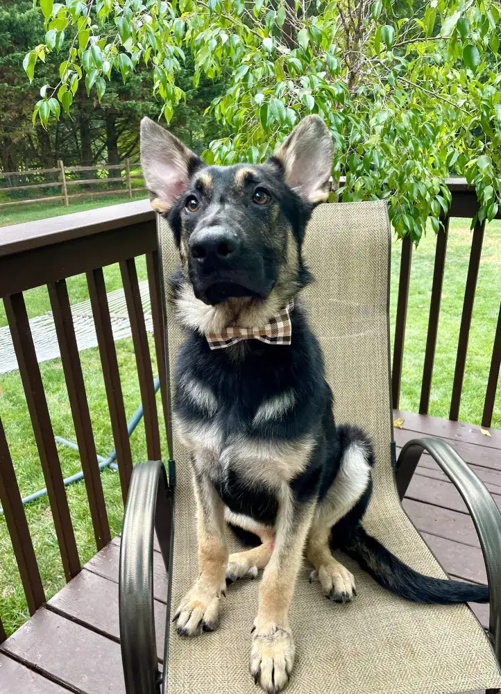 Kaiser