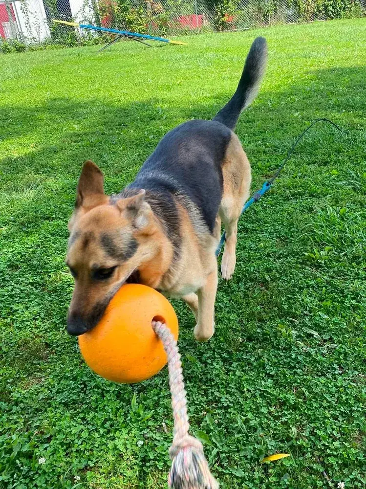 Kona