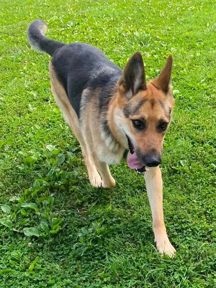 Kona