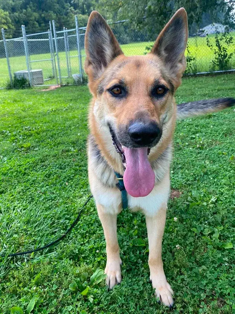 Kona