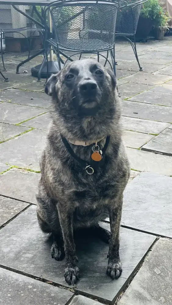 Zoey