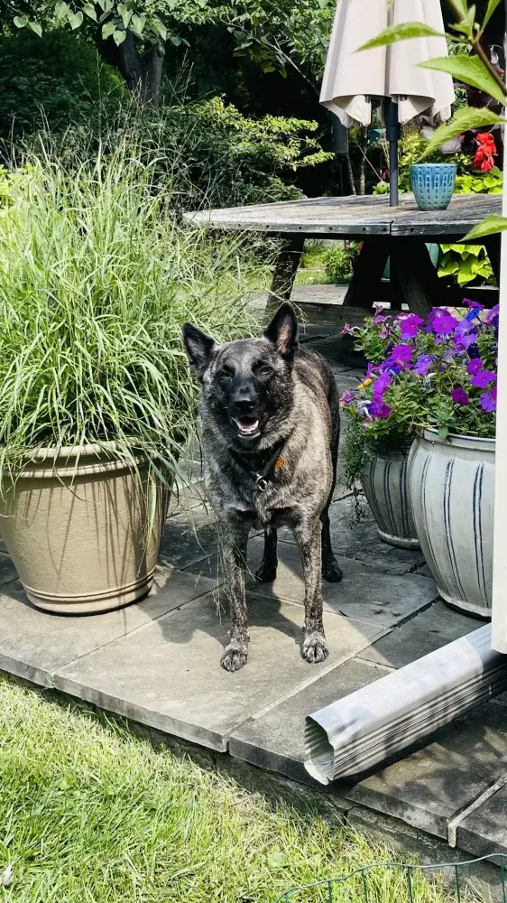 Zoey