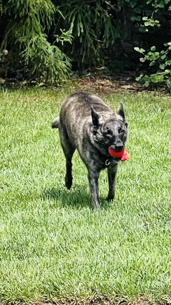 Zoey