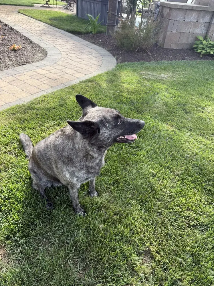 Zoey