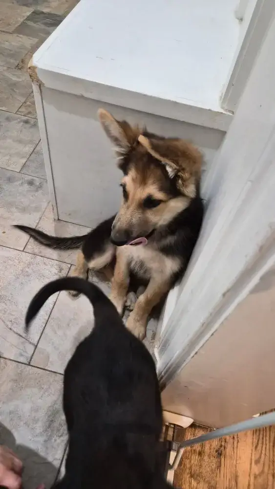 Coal & Graham