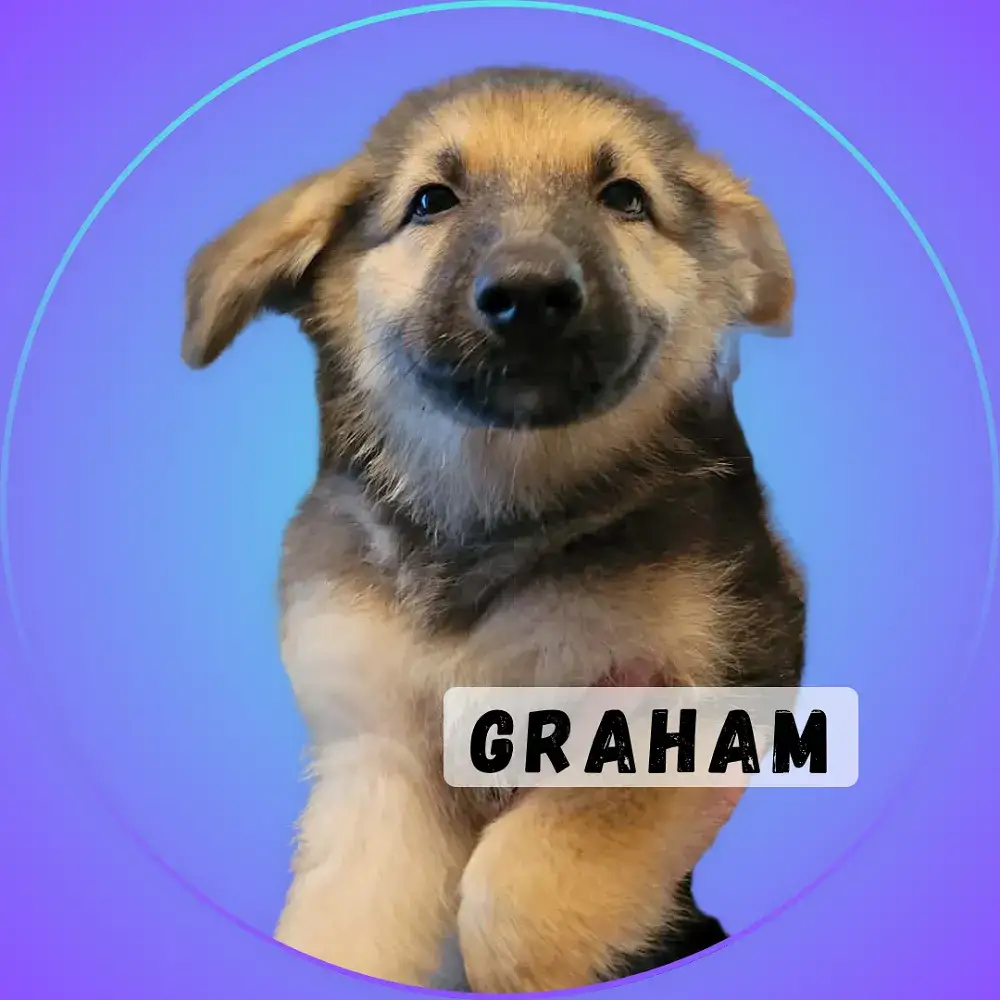 Graham