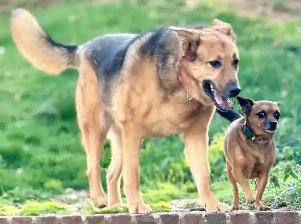Morgan & Milo
