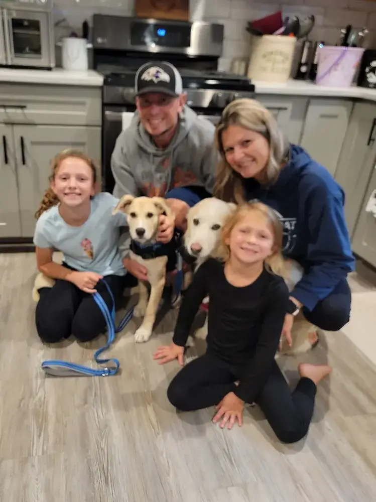 Scout adopted! :)