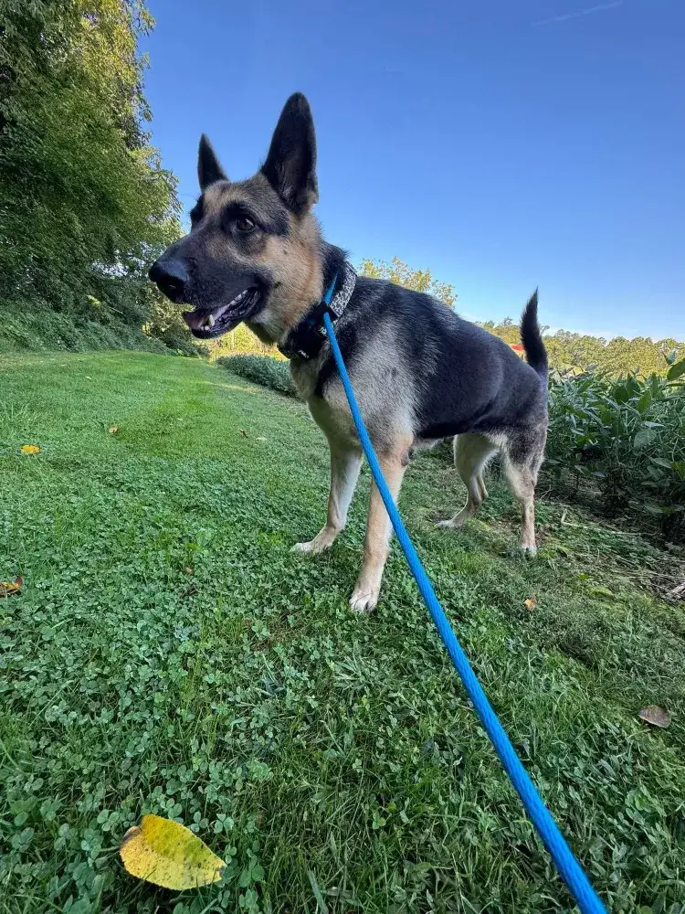 Vanya