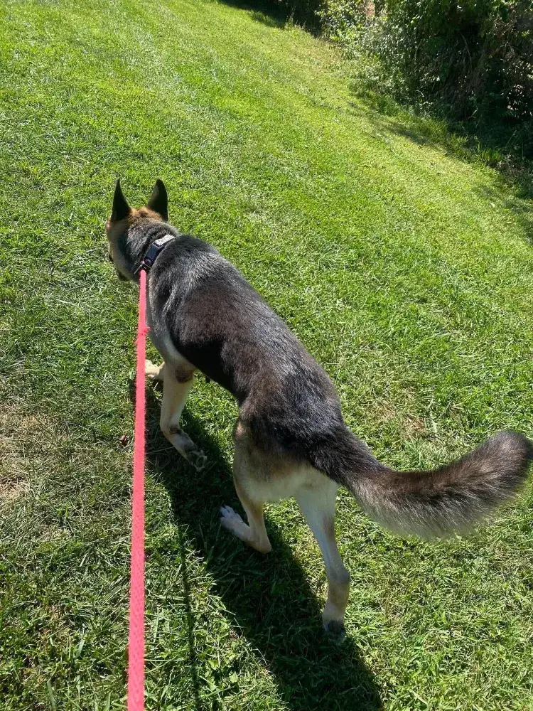 Vanya