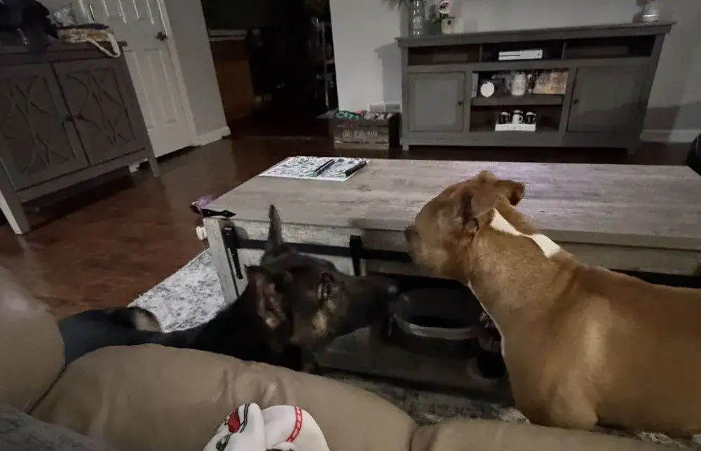 Tonka