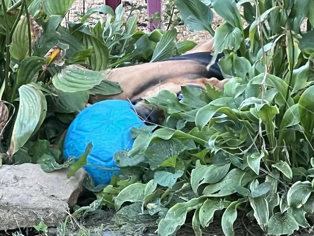 You can't see me!