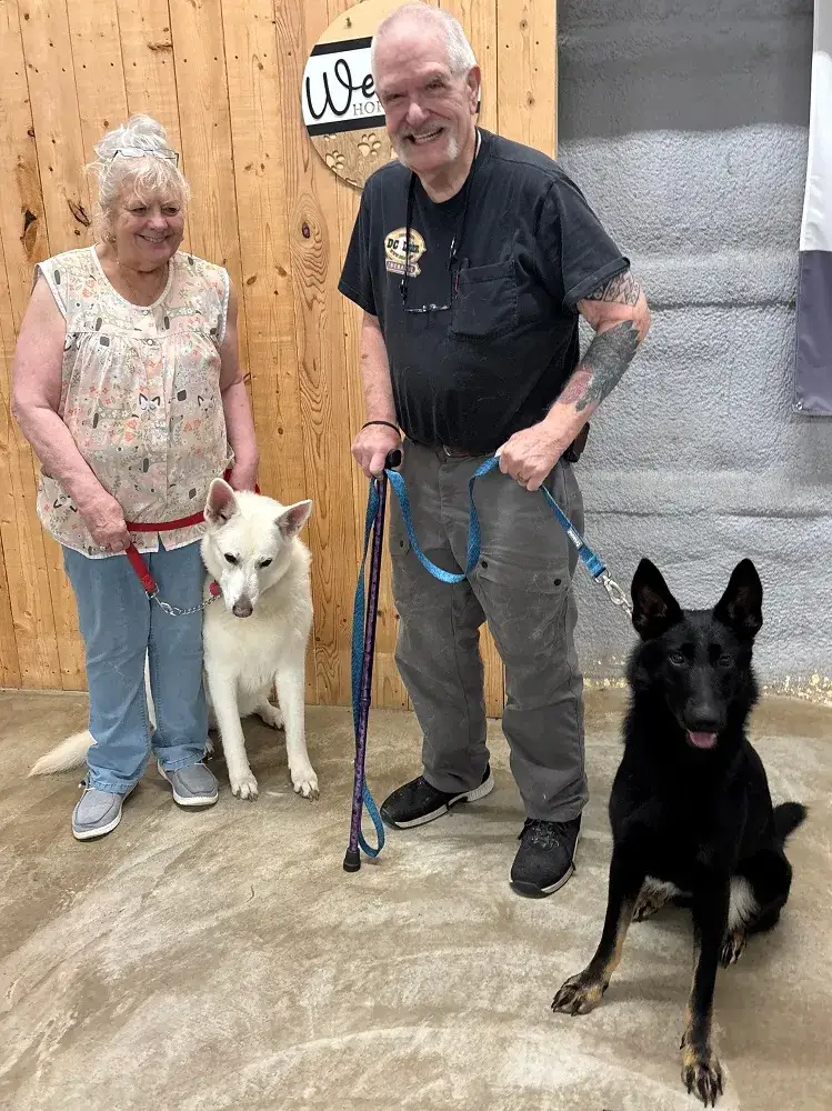 Cherry adopted! :)