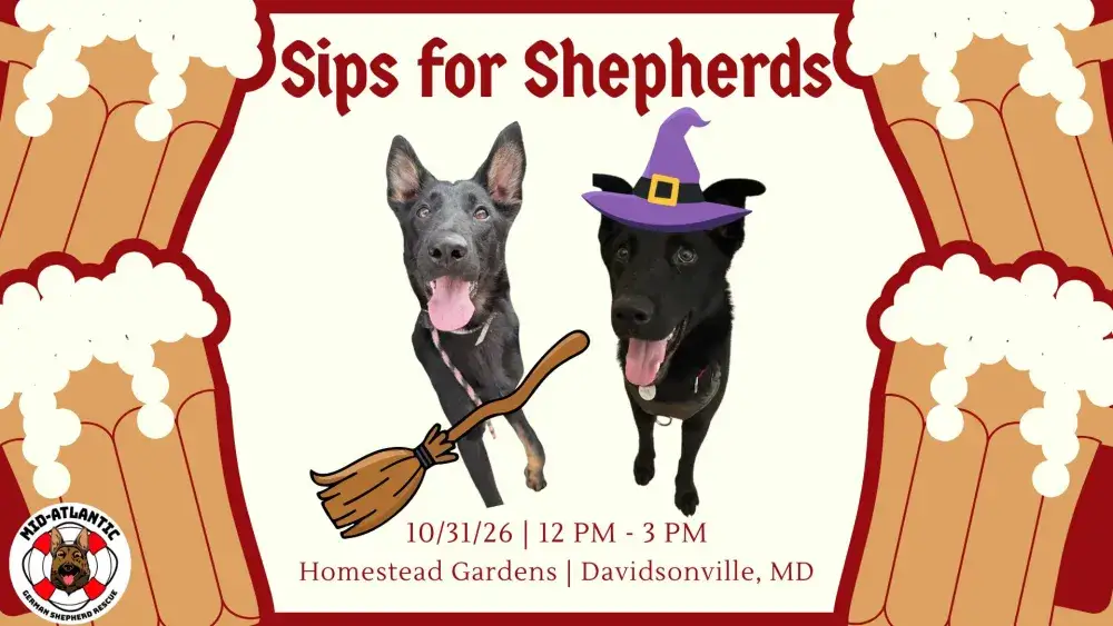 Sips for Shepherds