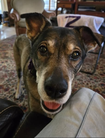 RIP Clara :(