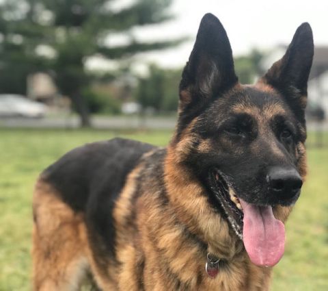 Baxter