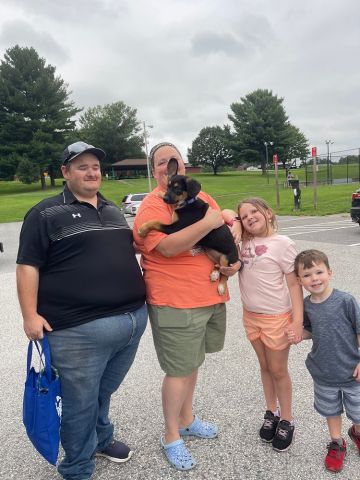 Country Lemonade adopted! :)
