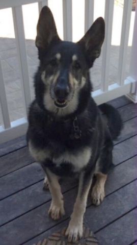 Ben
