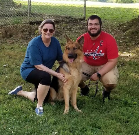 Blitz adopted