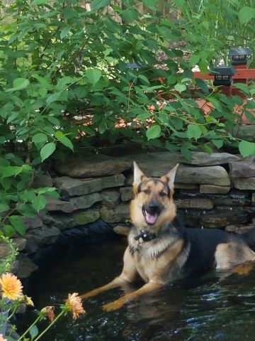Max